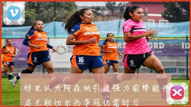 特里认为阿森纳引进强力前锋能开启王朝切尔西争冠仍需时日